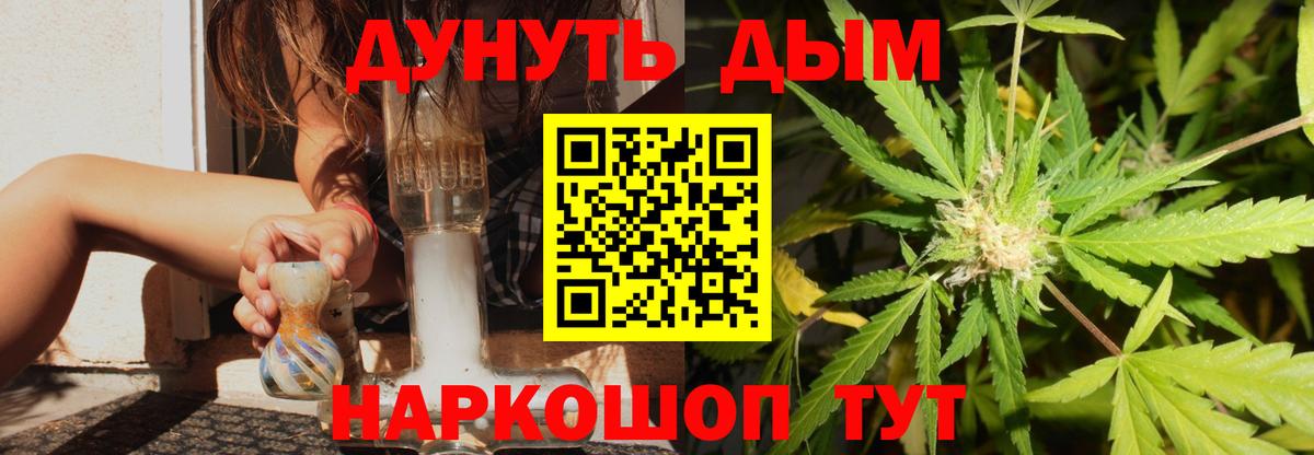 МАРИХУАНА планчик Новозыбков